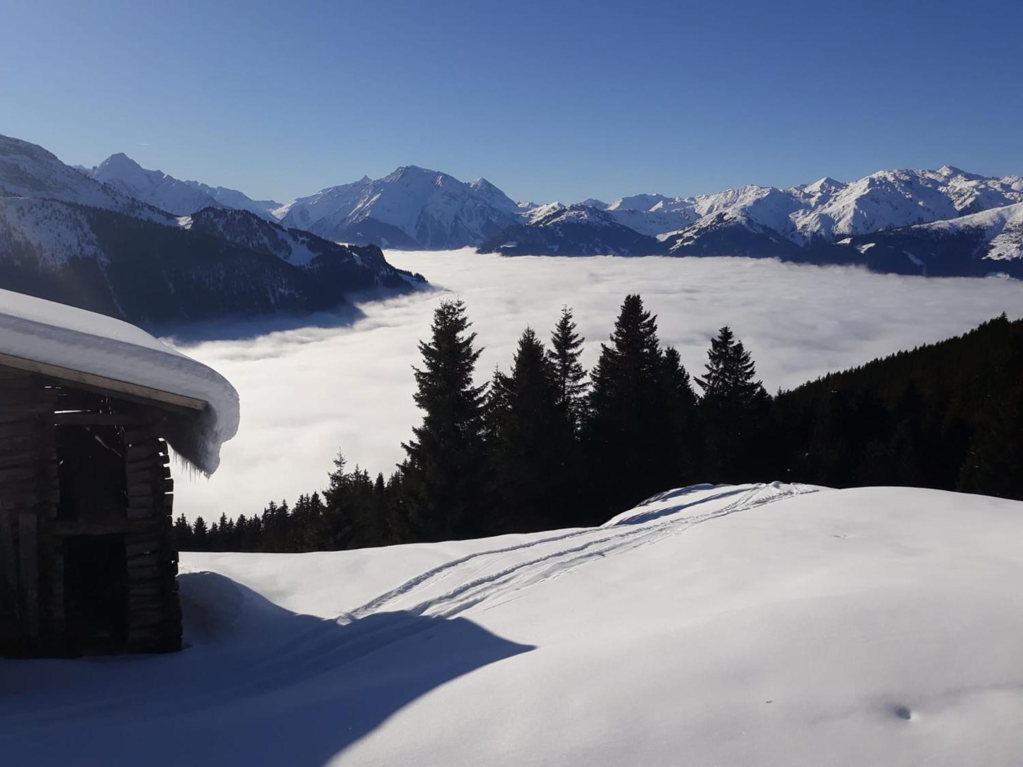 Haus Viktoria Apartamento Mayrhofen Exterior foto